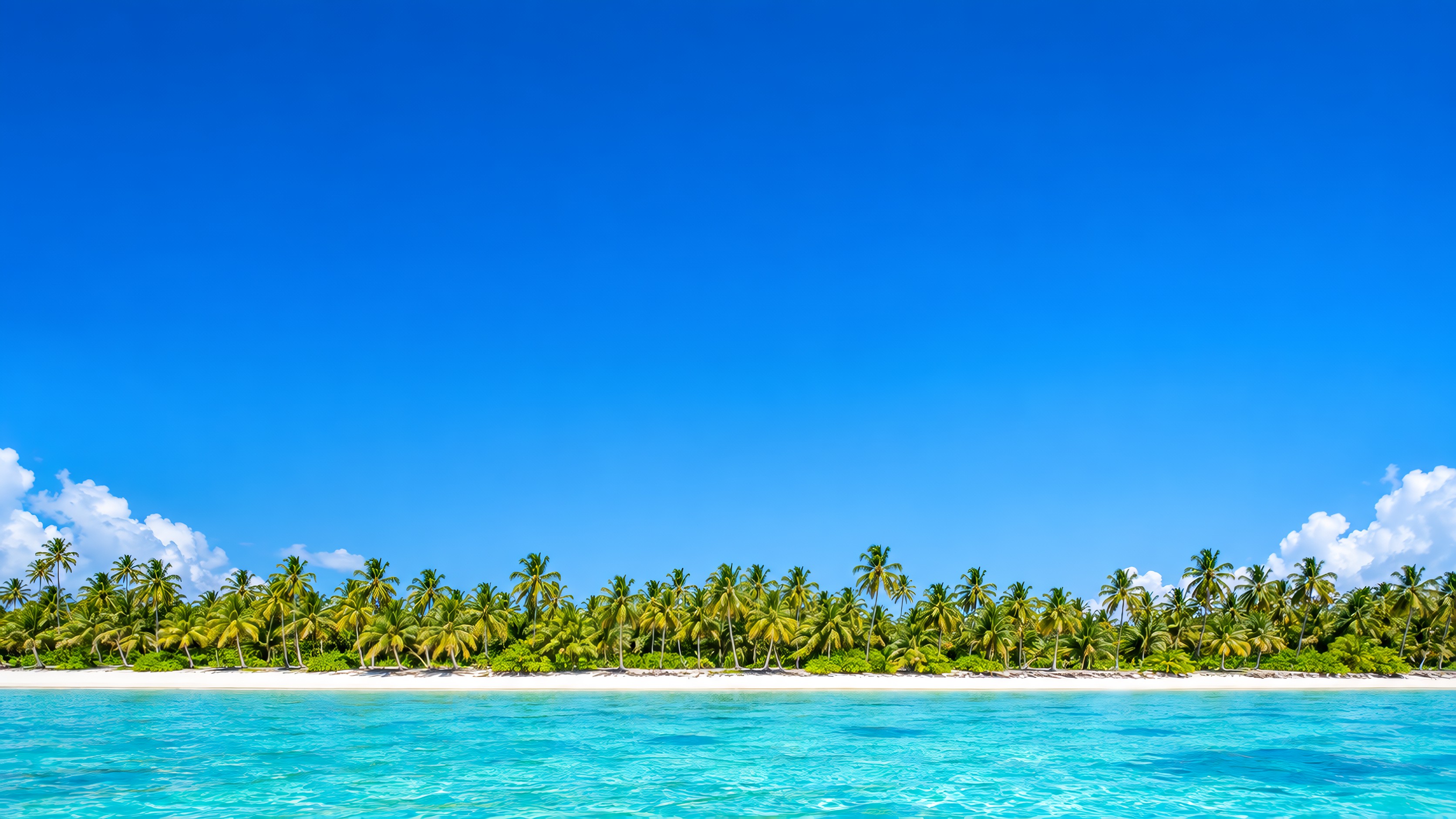 Playa caribeña de arena blanca con palmeras y mar turquesa bajo un cielo azul despejado